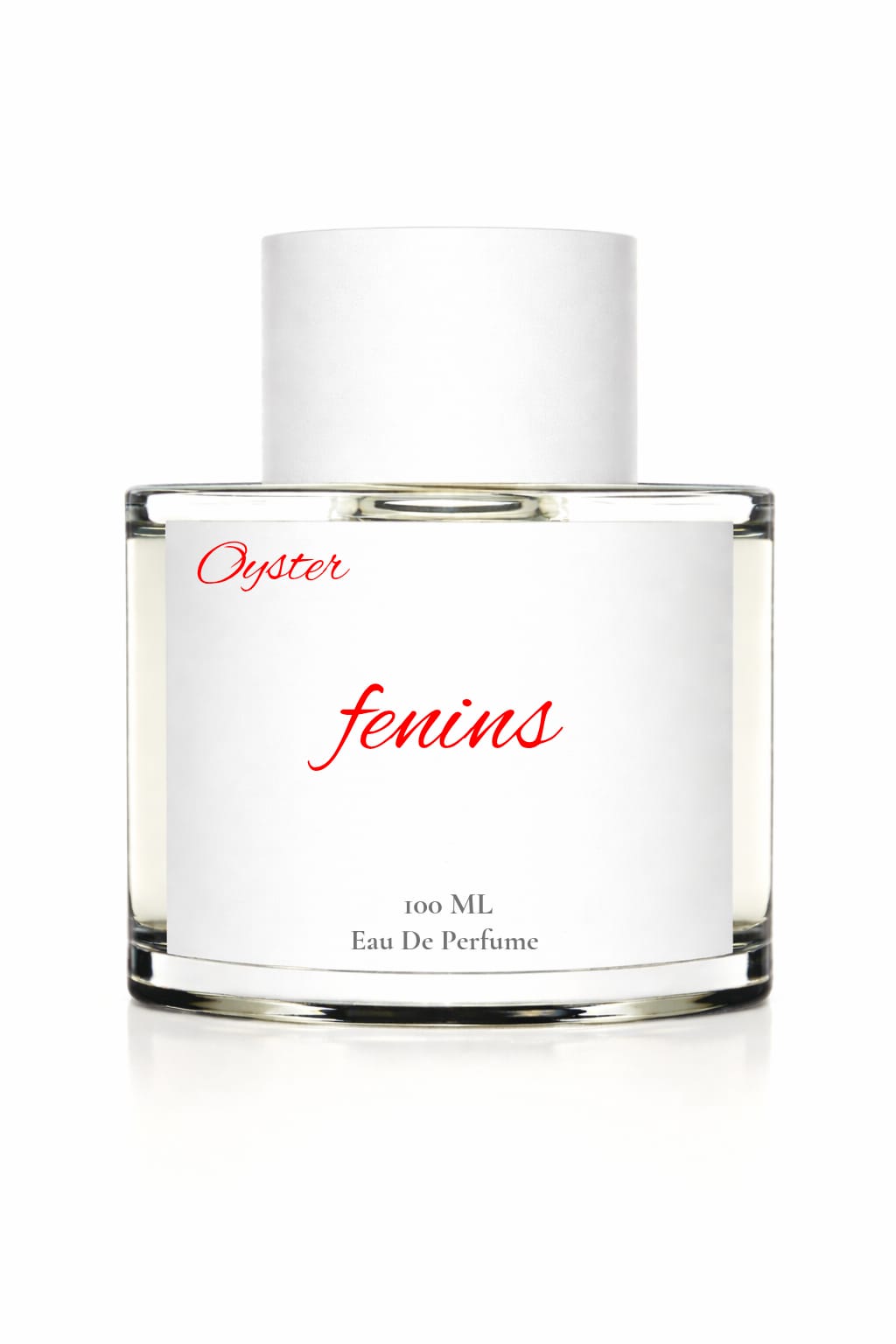 Fenins – Bold Spicy Perfume for Men | 100ml EDP